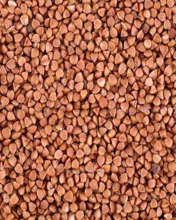 buckwheat