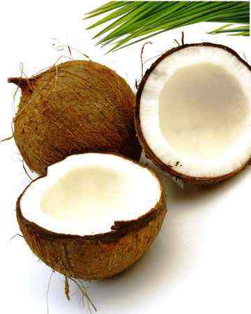 coconut2