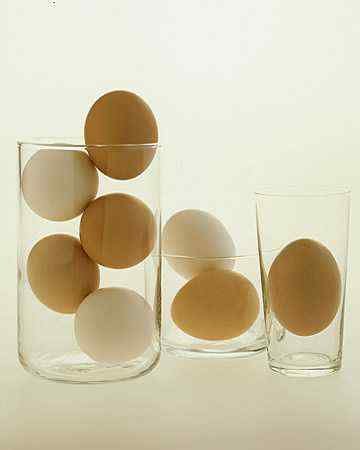 eggs2