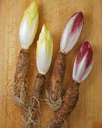 endives