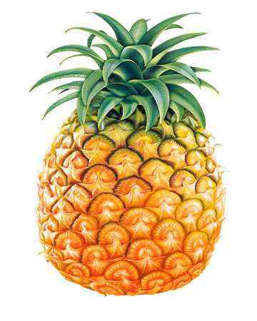 pineapple