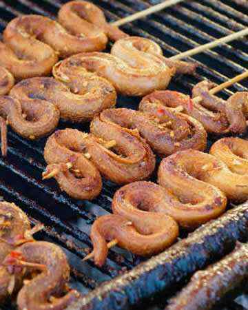 snakemeat