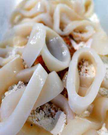 squid