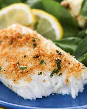 tilapia