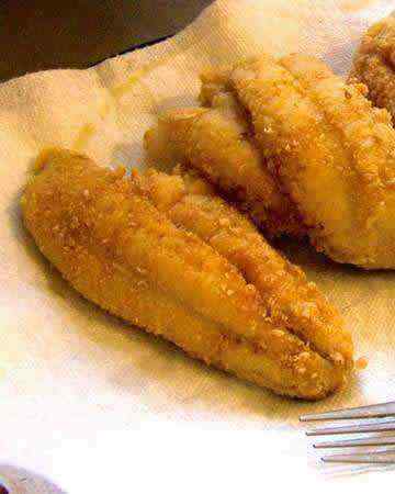 american-nativeamerican-pinenutcatfish