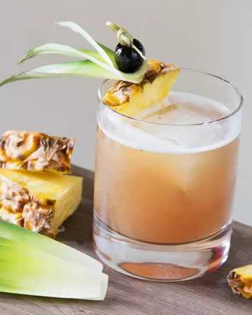 malaysian-junglebird