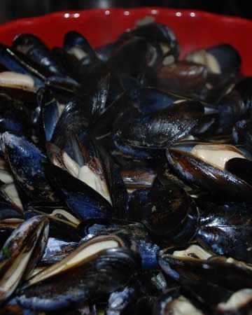 belgian-moules
