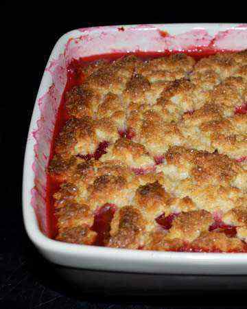 canadian-novascotia-plumcobbler