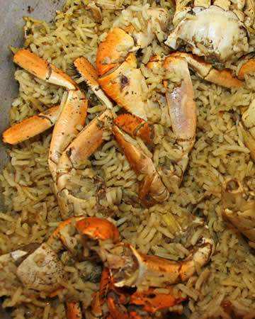 martinican-matoutou