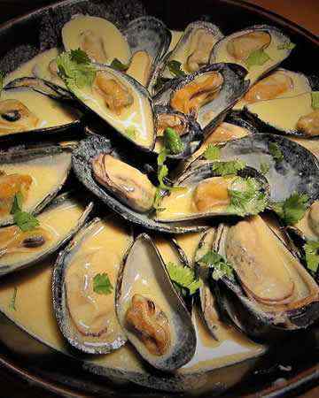 french-moucladelarochelle