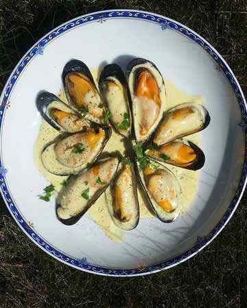french-moucladesaintongeaise