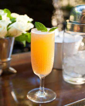 mimosa