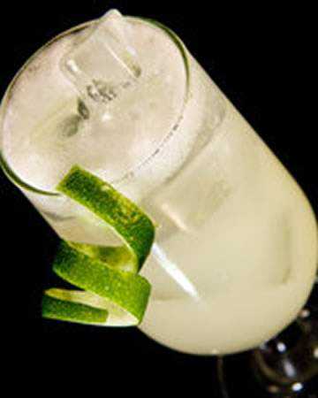 sloeginfizzcocktail