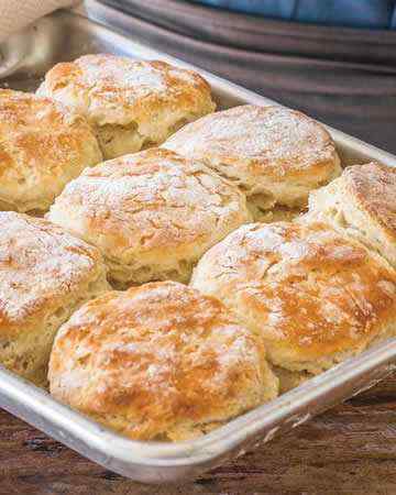 catheaddbiscuits