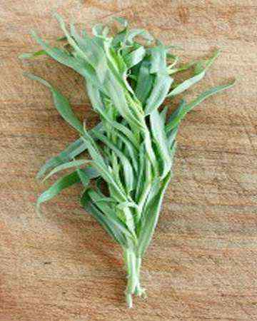 tarragon