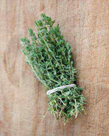 thyme