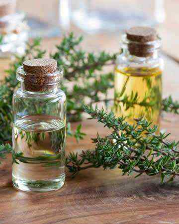 thymeoil
