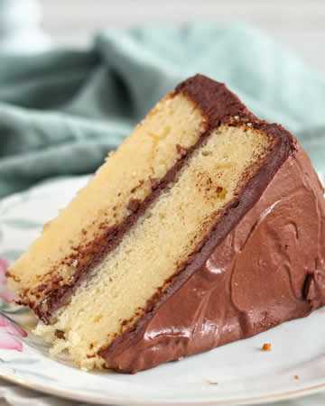 yellowcakefudgefrostinggf