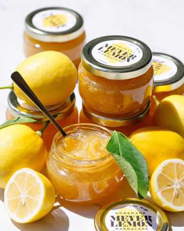 instantpot-lemonmarmelade