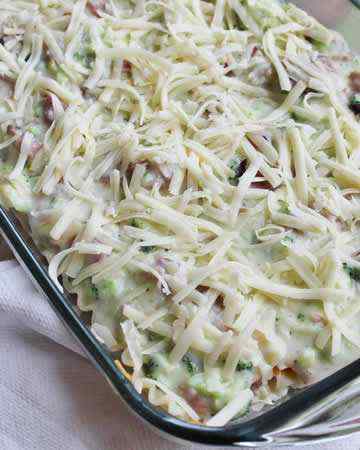 hamalfredolasagna