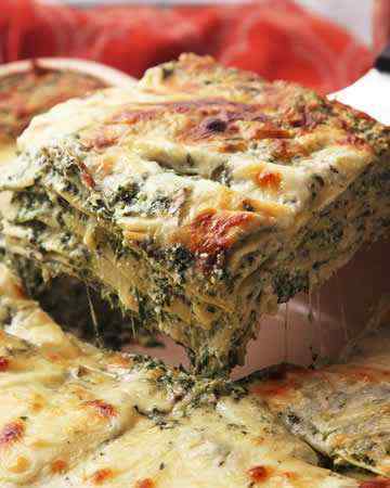 lasagnaflorentinewhitesauce