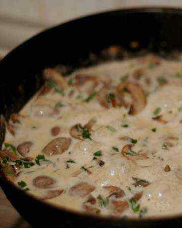 whitewinemushroompastasauce