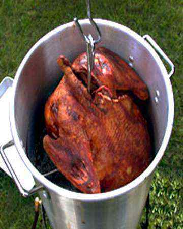 deepfriedturkey