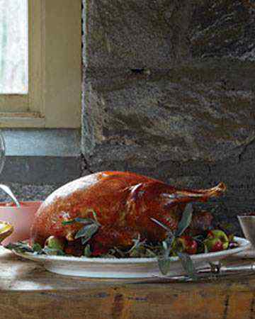 drybrinedroastedbroadbreastedwhiteturkey