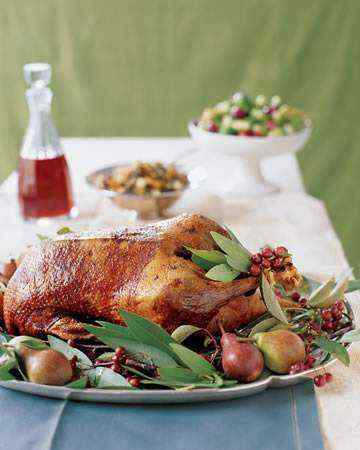 roastgoose