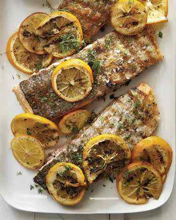 grilledsalmonmeyerlemonscreamycucumbersalad